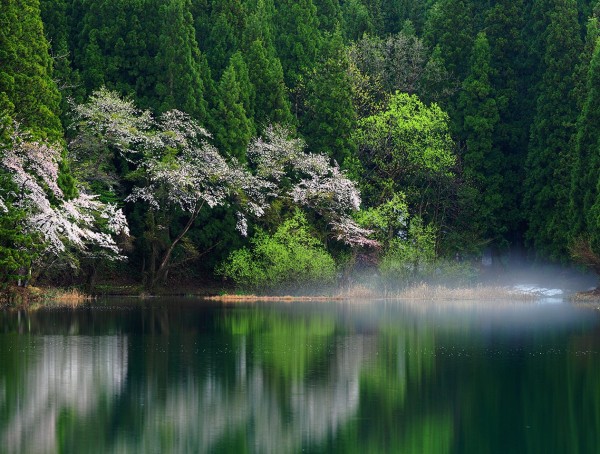 フォトハイク タカダ 第20回写真展のお知らせサムネイル